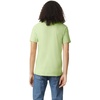 image:imageAmerican Apparel Unisex Adult CVC TShirt Style G2001cvc 2PackHeather Cucumber 2pack