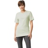image:imageAmerican Apparel Unisex Adult Fine Jersey TShirt Style G2001 MultipackNew Silver 2pack