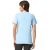 image:imageAmerican Apparel Unisex Adult Heavyweight Cotton TShirt Style G1301G1301gd MultipackPowder Blue 2pack