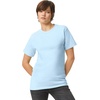 image:imageAmerican Apparel Unisex Adult Heavyweight Cotton TShirt Style G1301G1301gd MultipackPowder Blue 2pack