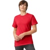 image:imageAmerican Apparel Unisex Adult Heavyweight Cotton TShirt Style G1301G1301gd MultipackRed 2pack